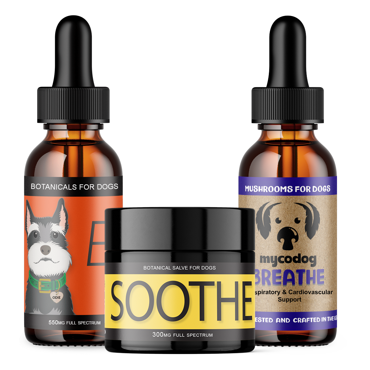 Seasonal Support Trio